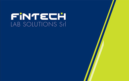 Finanziamenti, analisi di bilancio, internazionalizzazione imprese, holding e crowfunding | Fintech Lab Solutions Srl | immagine logo